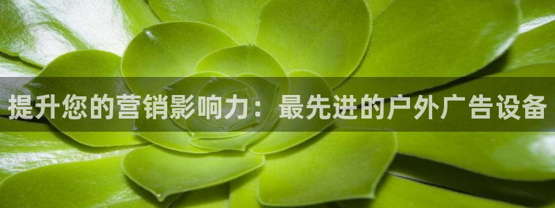 杏宇平台代理