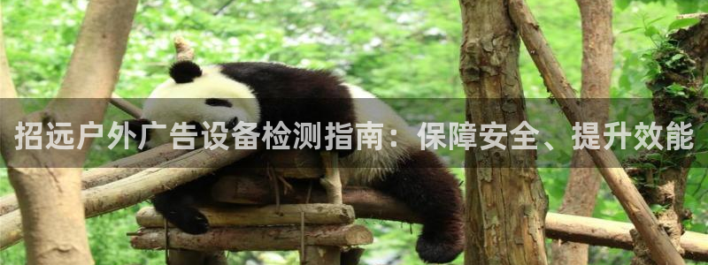 杏宇平台总代理