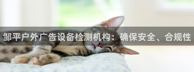杏宇平台官网注册