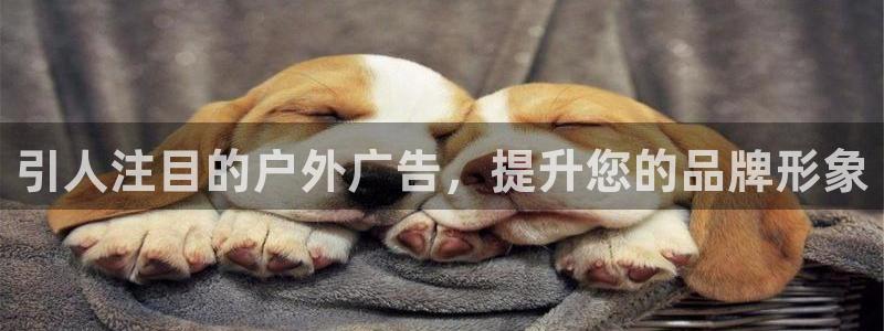 杏宇平台代理多少钱一次