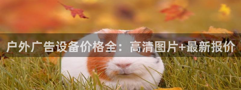 杏宇平台总代理