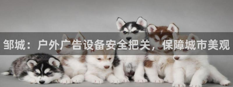 杏宇平台登录方法