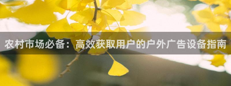 杏宇平台招商电话号码