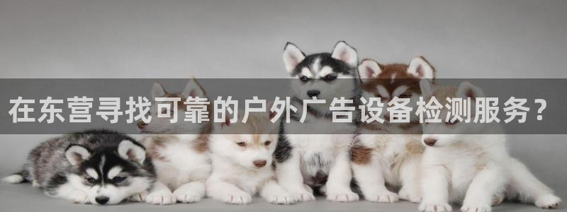 杏宇平台怎么样知乎：在东营寻找可靠的户外广告设备检测服务？
