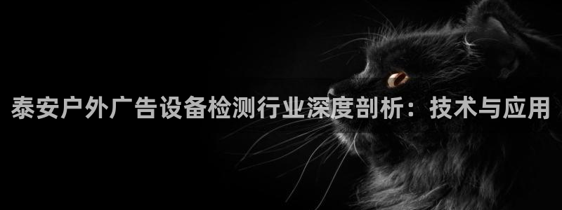 杏宇平台代理怎么样赚钱：泰安户外广告设备检测行业深度剖析：技术与应用