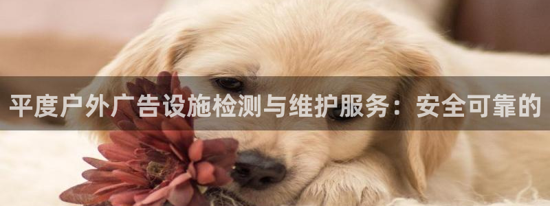 杏宇平台代理怎么样赚钱：平度户外广告设施检测与维护服务：安全可靠的