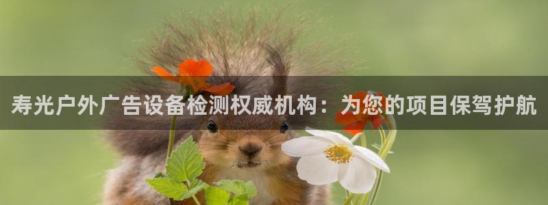 杏宇平台代理多少钱：寿光户外广告设备检测权威机构：为您的项目保驾护航