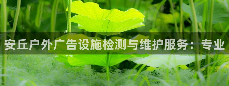 杏宇平台总代理：安丘户外广告设施检测与维护服务：专业
