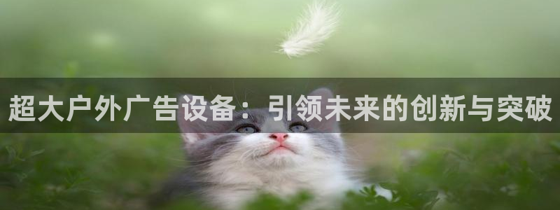 杏宇平台登录步骤是什么：超大户外广告设备：引领未来的创新与突破