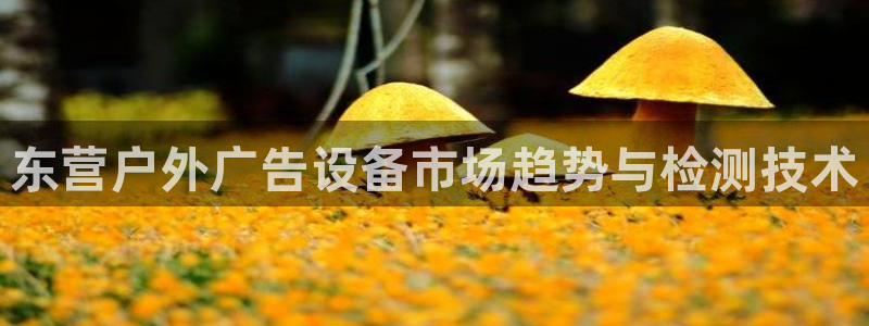 杏宇平台招商怎么样：东营户外广告设备市场趋势与检测技术