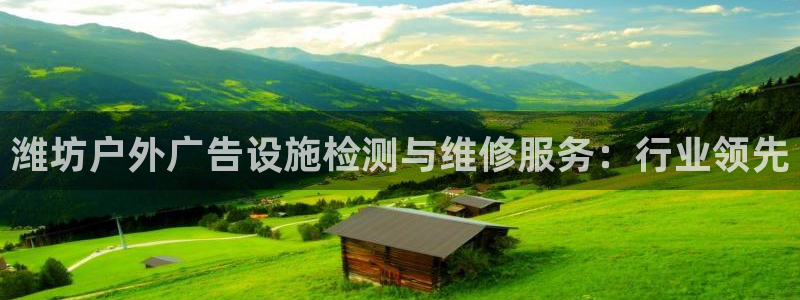 杏宇平台主管：潍坊户外广告设施检测与维修服务：行业领先