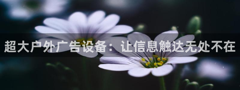 杏宇官方平台官网：超大户外广告设备：让信