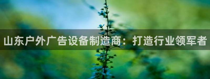 杏宇平台代理怎么样：山东户外广告设备制造