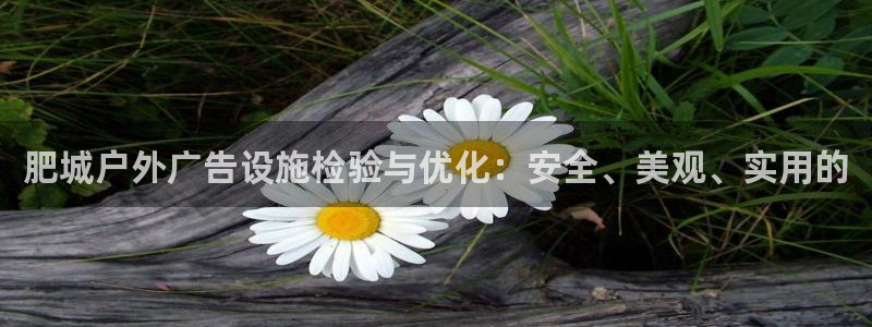 杏宇平台客服：肥城户外广告设施检验与优化