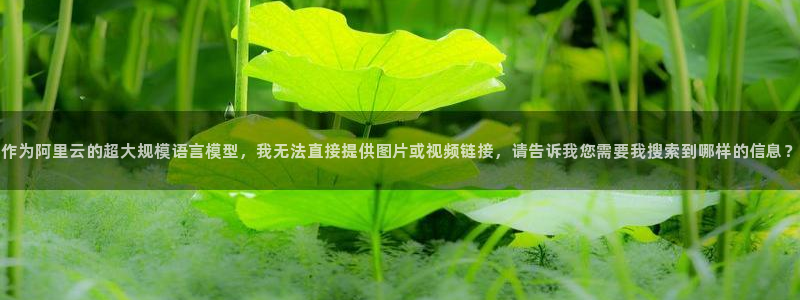 杏宇平台代理