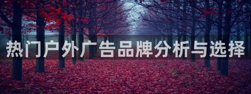 杏宇平台总代理是谁：热门户外广告品牌分析与选择