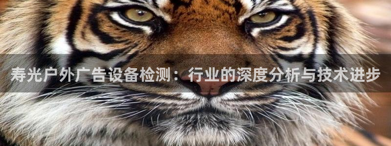 杏宇平台总代理是谁：寿光户外广告设备检测：行业的深度分析与技术进步