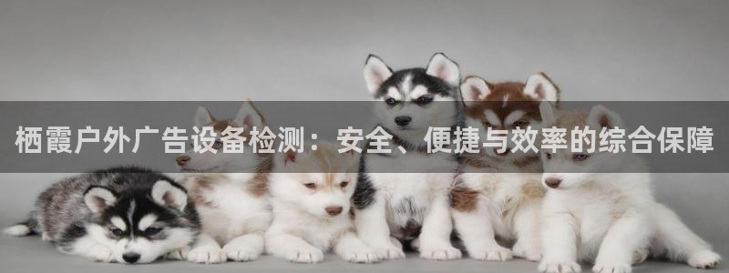 杏宇平台代理怎么样：栖霞户外广告设备检测：安全、便捷与效率的综合保障