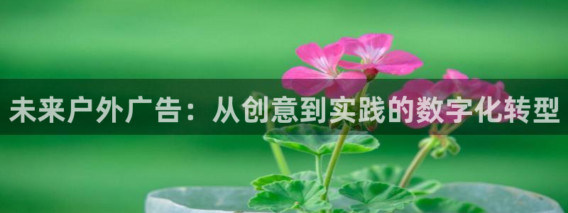 杏宇平台登录步骤是什么：未来户外广告：从创意到实践的数字化转型