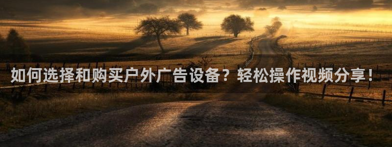 杏宇平台总代理是谁：如何选择和购买户外广