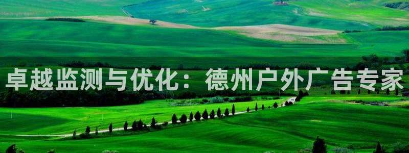 杏宇平台怎么样：卓越监测与优化：德州户外