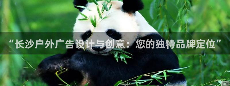 杏宇平台代理怎么赚钱：“长沙户外广告设计