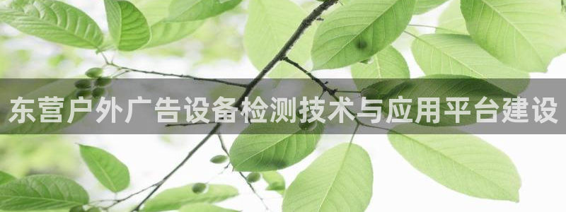 杏宇官方平台官网下载：东营户外广告设备检测技术与应用平台建设
