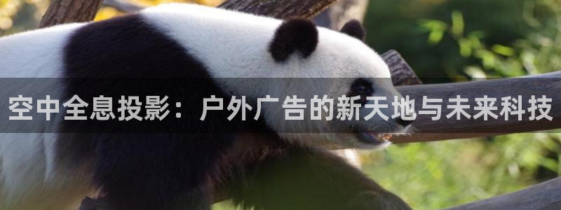 杏宇平台招商电话号码：空中全息投影：户外广告的新天地与未来科技