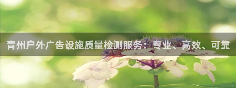 杏宇平台招商电话号码