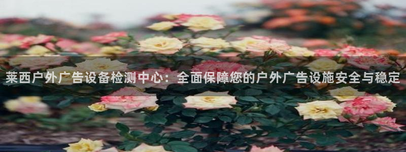 杏宇平台怎么样：莱西户外广告设备检测中心：全面保障您的户外广告设施安全与稳定