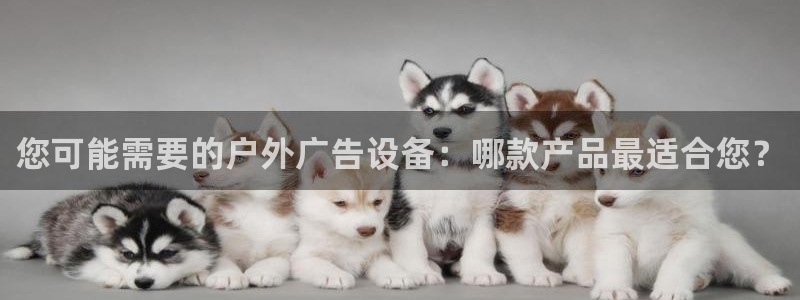 杏宇平台代理怎么样可靠吗：您可能需要的户