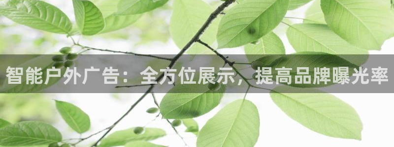 杏宇平台总代理是谁：智能户外广告：全方位