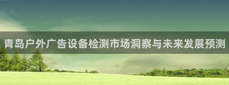 杏宇平台登录步骤：青岛户外广告设备检测市场洞察与未来发展预测