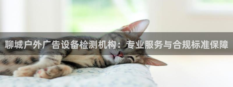 杏宇平台登陆：聊城户外广告设备检测机构：