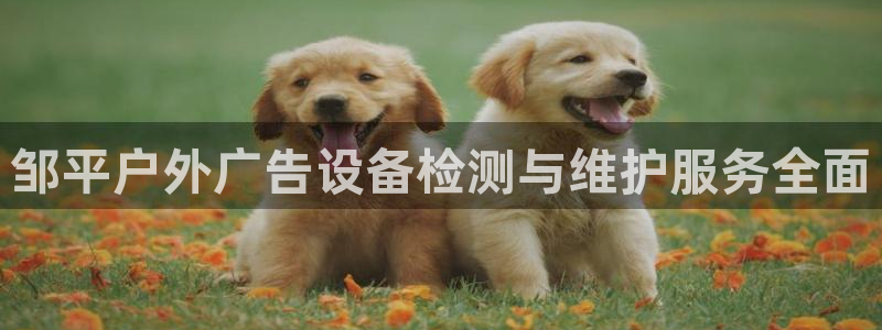杏宇平台怎么样知乎：邹平户外广告设备检测与维护服务全面