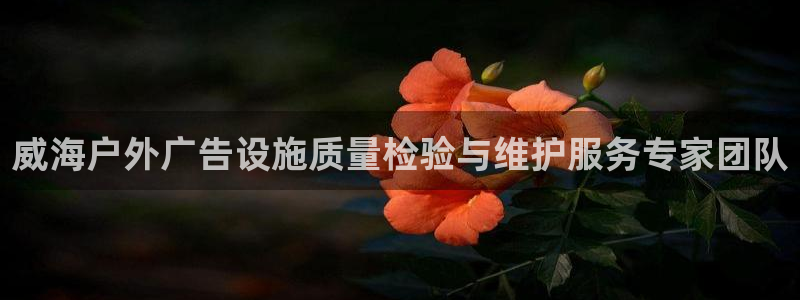 杏宇平台怎么样赚钱：威海户外广告设施质量检验与维护服务专家团队