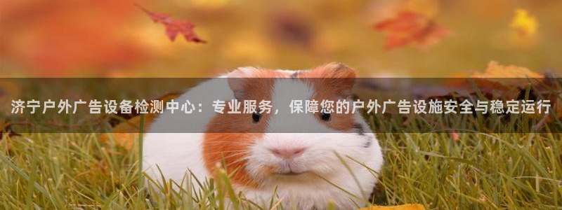 杏宇平台提现为什么这么久呢：济宁户外广告设备检测中心：专业服务，保障您的户外广告设施安全与稳定运行