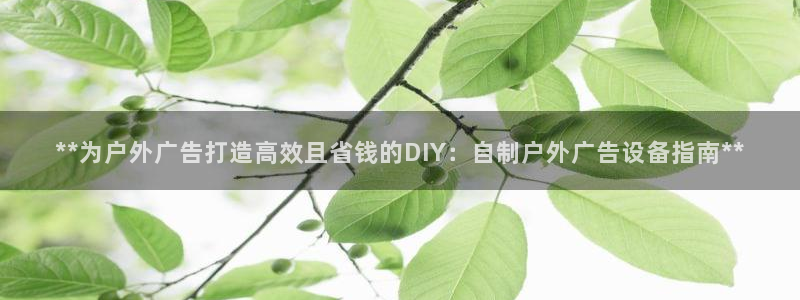 杏宇官方平台官网：**为户外广告打造高效且省钱的DIY：自制户外广告设备指南**