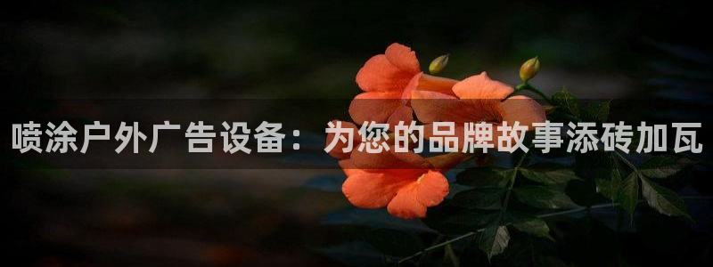 杏宇平台代理怎么赚钱