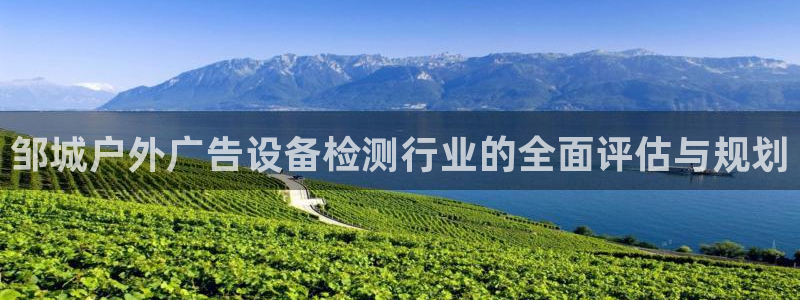 杏宇平台开户：邹城户外广告设备检测行业的全面评估与规划