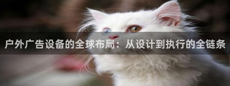 杏宇官方平台官网入口：户外广告设备的全球布局：从设计到执行的全链条