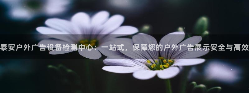 杏宇平台代理多少钱：泰安户外广告设备检测