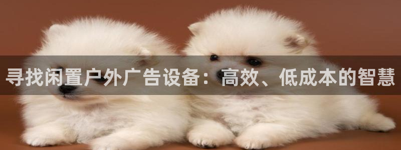 杏宇平台好吗：寻找闲置户外广告设备：高效、低成本的智慧