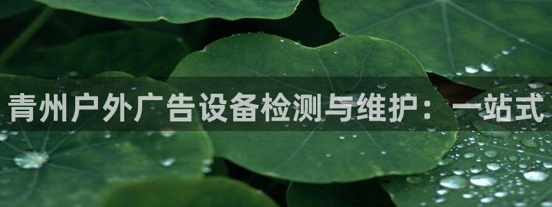 杏宇代理注册：青州户外广告设备检测与维护