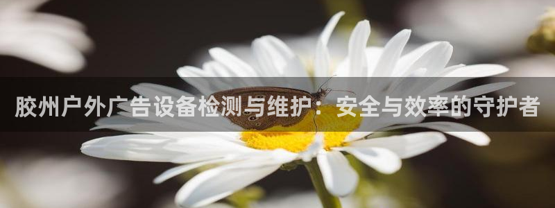 杏宇平台代理