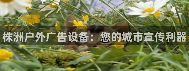 杏宇官方平台官网下载：株洲户外广告设备：