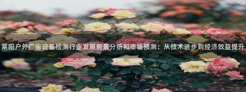 杏宇平台代理怎么样：莱阳户外广告设备检测行业发展前景分析和市场预测：从技术进步到经济效益提升