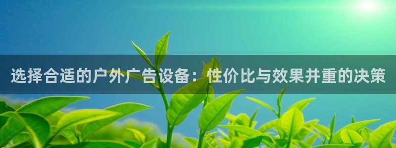 杏宇平台代理怎么样可靠吗：选择合适的户外